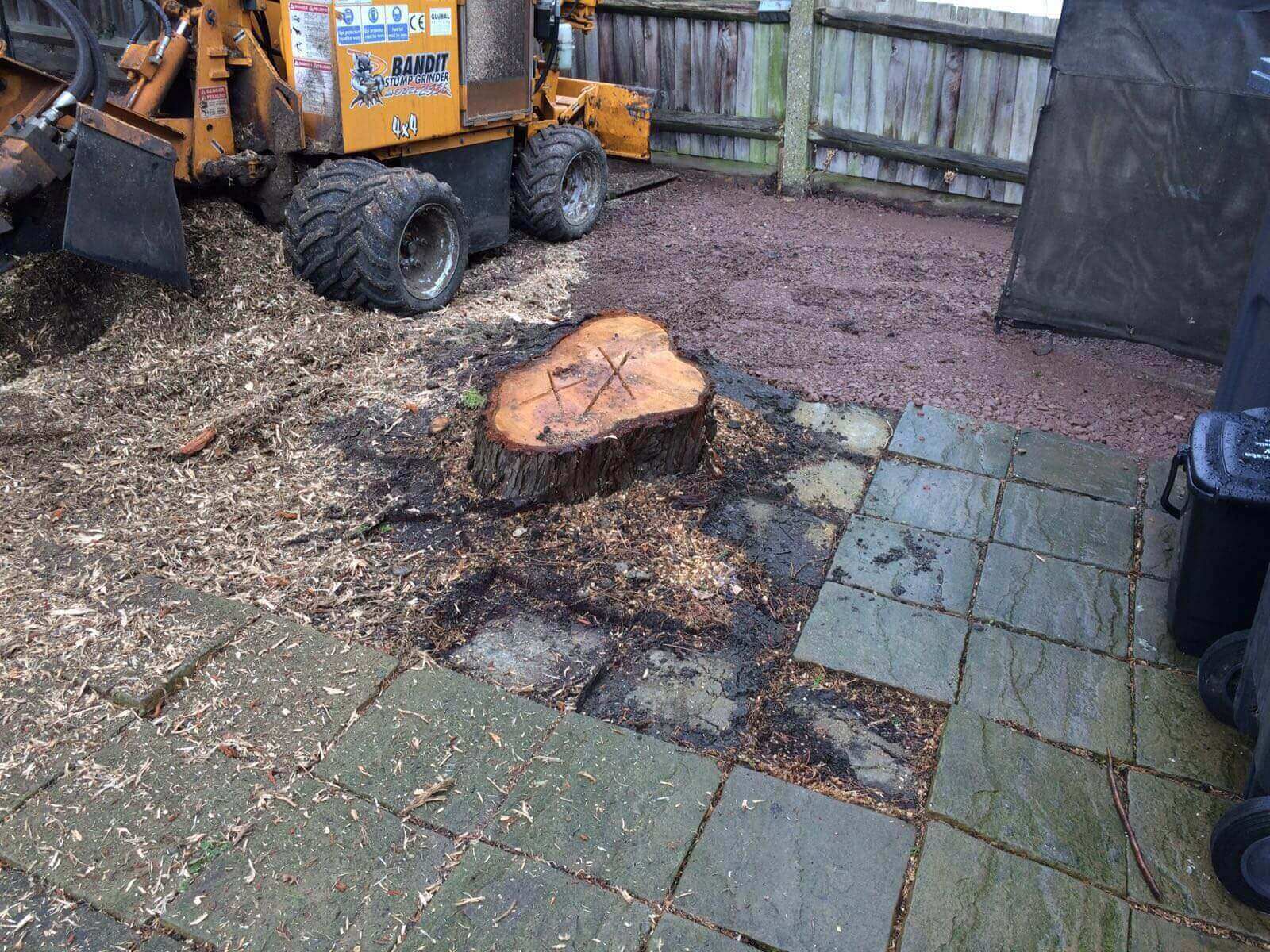 Tree Surgeons Carshalton SM5