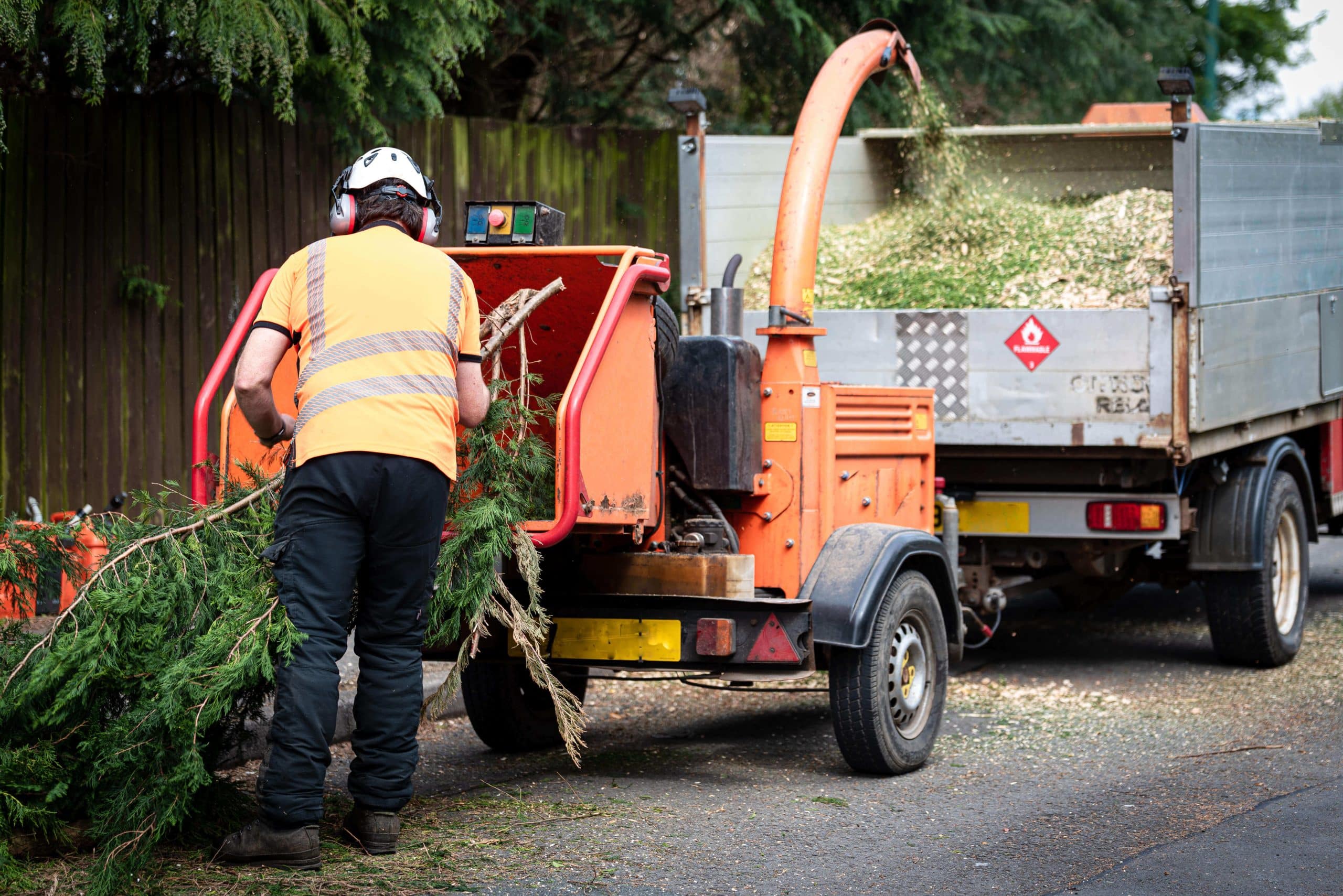 Tree Stump Grinding/Removal Carshalton SM5